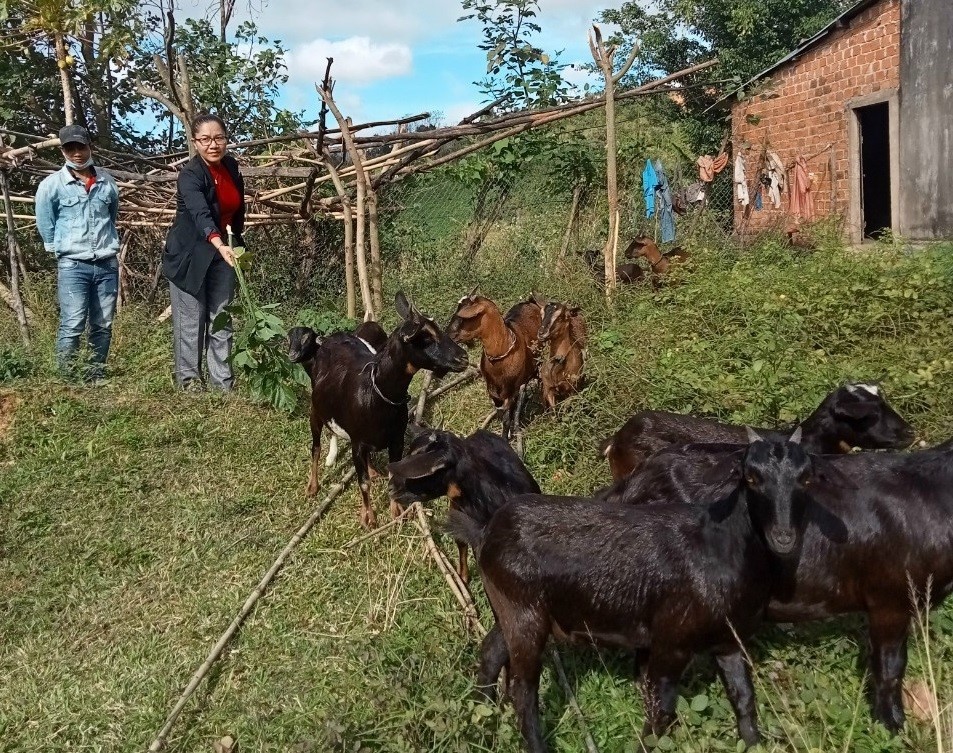 Hội nông dân huyện Đăk Glei: Đổi mới và nâng cao hiệu quả các hoạt động