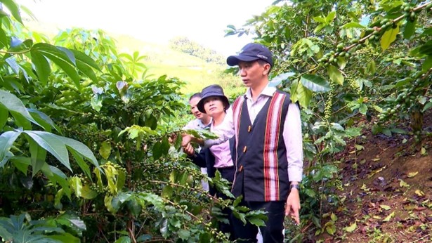 Nâng cao vai trò của các cấp uỷ, tổ chức Đảng, chính quyền, Mặt trận Tổ quốc Việt Nam và các tổ chức chính trị - xã hội các cấp trong huyện đối với tín dụng chính sách xã hội